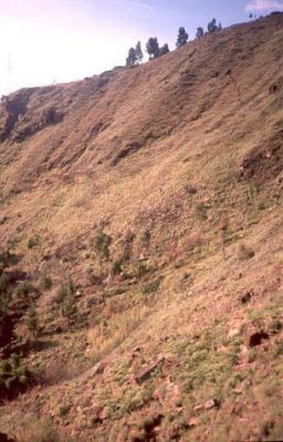 Zona con pendientes fuertes a escarpadas, Cerro Pan de Azúcar
CEHAP, 1996
Palabras clave: PAN DE Azucar