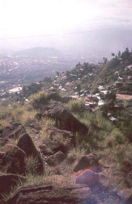 Cubierta rocosa, Cerro Pan de Azúcar
CEHAP, 1996
Palabras clave: PAN DE Azucar
