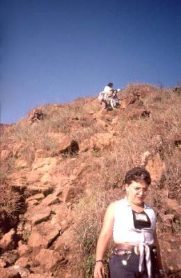 Cubierta rocosa, Cerro Pan de Azúcar
CEHAP, 1996
Palabras clave: PAN DE Azucar