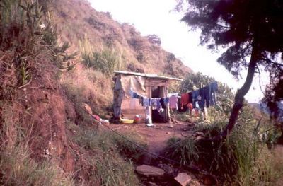Vivienda en zona pendiente con peligro de deslizamiento, Cerro Pan de Azúcar
CEHAP, 1996
Palabras clave: ZONAS DE RIESGO PAN DE Azucar
