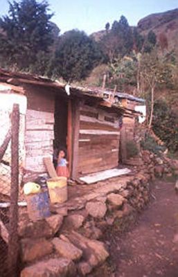 Vivienda subnormal en la ladera del Cerro Pan de Azúcar
CEHAP, 1996
Palabras clave: PAN DE Azucar