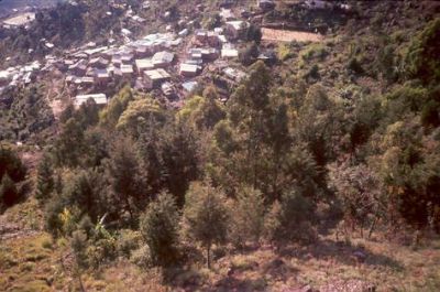 Panorámica de viviendas construidas en los escarpes del Cerro Pan de Azúcar
CEHAP, 1996
Palabras clave: PAN DE Azucar