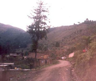 Vía de acceso a zonas aledañas al Cerro Pan de Azúcar
CEHAP, 1996
Palabras clave: PAN DE Azucar