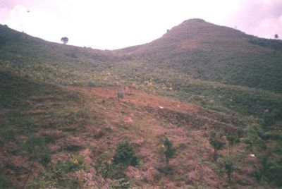 Parte alta del Cerro Pan de Azúcar
CEHAP, 1996
Palabras clave: PAN DE Azucar