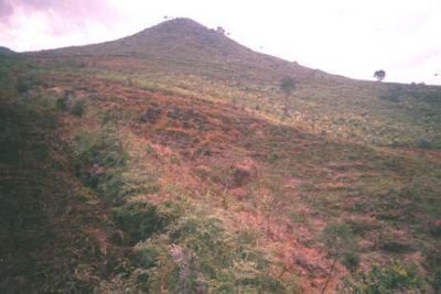 Panorámica del Cerro Pan de Azúcar
CEHAP, 1996
Palabras clave: PAN DE Azucar