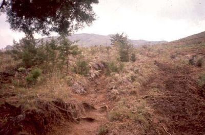 Zona con pendientes moderadas a suaves, Cerro Pan de Azúcar
CEHAP, 1996
Palabras clave: PAN DE Azucar