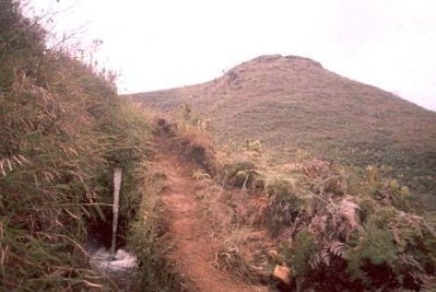 Sendero, cerro Pan de Azúcar
CEHAP, 1996
Palabras clave: PAN DE Azucar