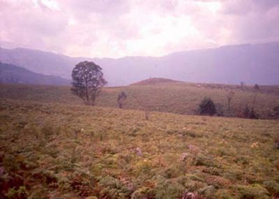 Zona con pendientes moderadas a suaves, Cerro Pan de Azúcar
CEHAP, 1996
Palabras clave: PAN DE Azucar