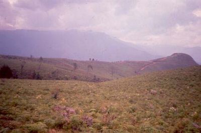 Zona con pendientes moderadas a suaves, cerro Pan de Azúcar
CEHAP, 1996
Palabras clave: PAN DE Azucar