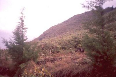 Zona con pendientes fuertes a escarpadas, cerro Pan de Azúcar
CEHAP, 1996
Palabras clave: PAN DE Azucar