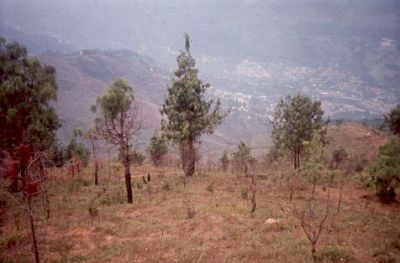 Zona con pendientes moderadas a suaves, cerro Pan de Azúcar
CEHAP, 1996
Palabras clave: PAN DE Azucar