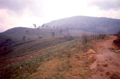 Zona con pendientes moderadas en la parte alta del cerro Pan de Azúcar
CEHAP, 1996
Palabras clave: PAN DE Azucar