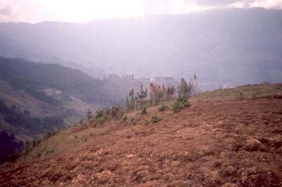 Cicatrices de deslizamiento, cerro Pan de Azúcar
CEHAP, 1996
Palabras clave: PAN DE Azucar
