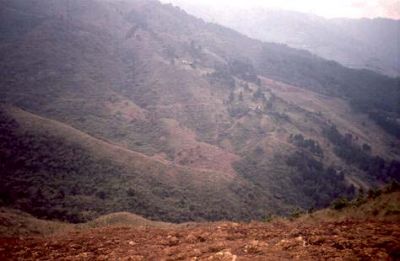 Cicatrices de deslizamiento, cerro Pan de Azúcar
CEHAP, 1996
Palabras clave: PAN DE Azucar