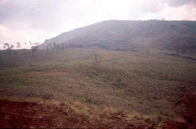 Zona con pendientes moderadas a suaves, cerro Pan de Azúcar
CEHAP, 1996
Palabras clave: PAN DE Azucar
