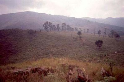 Zona de pendientes moderadas a suaves, cerro Pan de Azúcar
CEHAP, 1996
Palabras clave: PAN DE Azucar