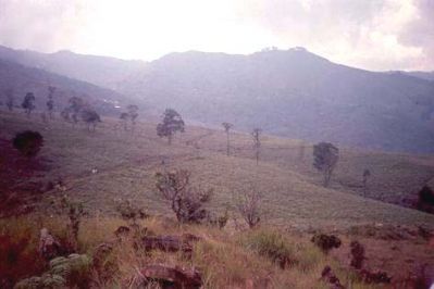 Zona de pendientes moderadas a suaves, cerro Pan de Azúcar
CEHAP, 1996
Palabras clave: PAN DE Azucar