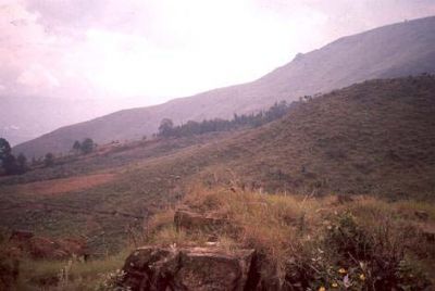 Material rocoso expuesto, cerro Pan de Azúcar
CEHAP, 1996
Palabras clave: PAN DE Azucar