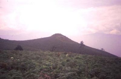 Tendido verde sobre el cerro Pan de Azúcar
CEHAP, 1996
Palabras clave: PAN DE Azucar