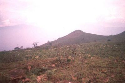 Zona de pendientes moderadas a suaves, cerro Pan de Azúcar
CEHAP, 1996
Palabras clave: PAN DE Azucar