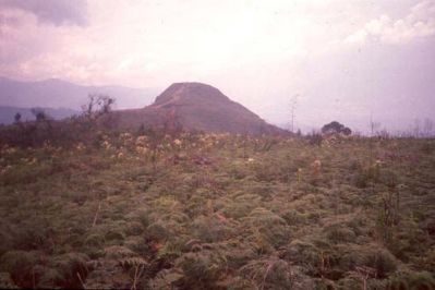 Capa vegetativa sobre el cerro Pan de Azúcar
CEHAP, 1996
Palabras clave: PAN DE Azucar