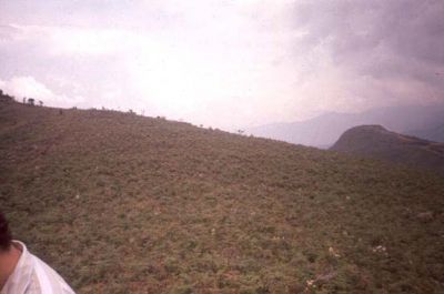Capa vegetativa sobre el cerro Pan de Azúcar
CEHAP, 1996
Palabras clave: PAN DE Azucar
