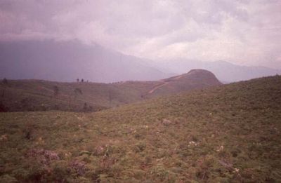 Capa vegetativa sobre el cerro Pan de Azúcar
CEHAP, 1996
Palabras clave: PAN DE Azucar