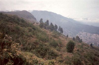 Vegetación en el cerro Pan de Azúcar
CEHAP, 1996
Palabras clave: PAN DE Azucar