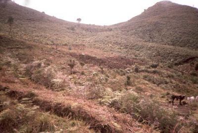 Escalones producidos por el movimiento de la tierra, cerro Pan de Azúcar
CEHAP, 1996
Palabras clave: PAN DE Azucar