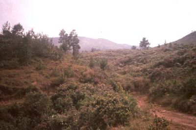 Senderos en el cerro Pan de Azúcar
CEHAP, 1996
Palabras clave: PAN DE Azucar