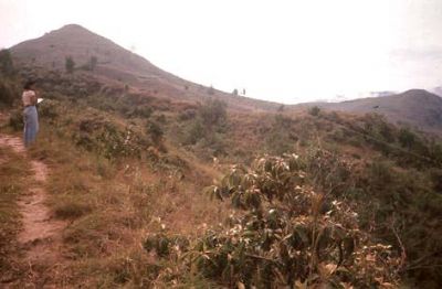 Senderos en el cerro Pan de Azúcar
CEHAP, 1996
Palabras clave: PAN DE Azucar