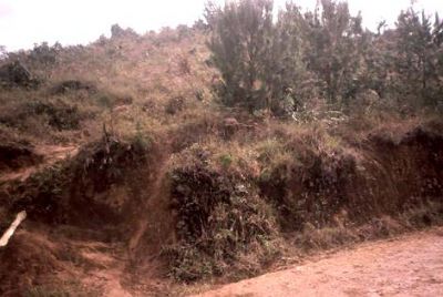 Erosión laminar, cerro Pan de Azúcar
CEHAP, 1996
Palabras clave: PAN DE Azucar