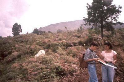 Estudio del cerro Pan de Azúcar
CEHAP, 1996
Palabras clave: PAN DE Azucar