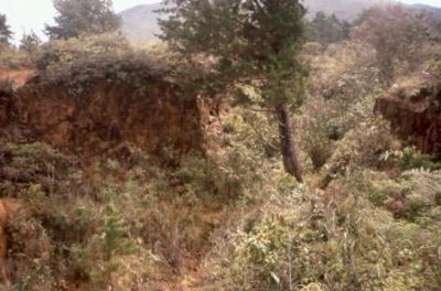 Deslizamiento, cerro Pan de Azúcar
CEHAP, 1996
Palabras clave: PAN DE Azucar