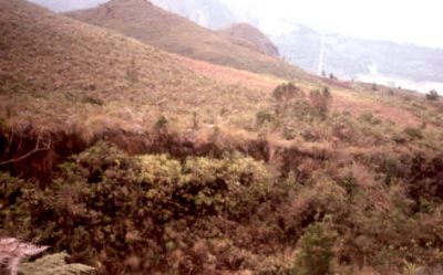 Terreno quebrado por el movimiento de tierra, cerro Pan de Azúcar
CEHAP, 1996
Palabras clave: PAN DE Azucar