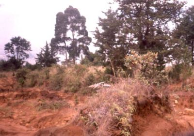 Erosión laminar, cerro Pan de Azúcar
CEHAP, 1996
Palabras clave: PAN DE Azucar