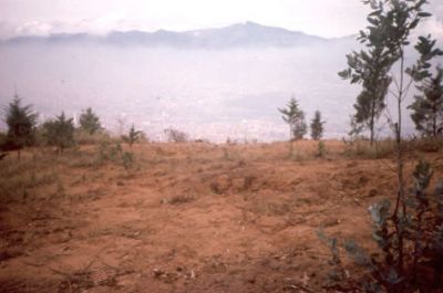 Erosión laminar, cerro Pan de Azúcar
CEHAP, 1996
Palabras clave: PAN DE Azucar