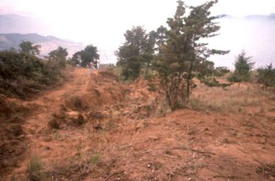 Erosión laminar, cerro Pan de Azúcar
CEHAP, 1996
Palabras clave: PAN DE Azucar