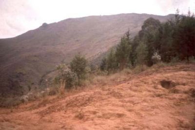 Erosión laminar, cerro Pan de Azúcar
CEHAP, 1996
Palabras clave: PAN DE Azucar