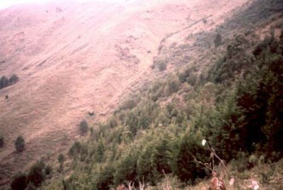 Zona de pendientes fuertes a escarpadas, cerro Pan de Azúcar
CEHAP, 1996
Palabras clave: PAN DE Azucar