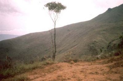 Erosión laminar, cerro Pan de Azúcar
CEHAP, 1996
Palabras clave: PAN DE Azucar