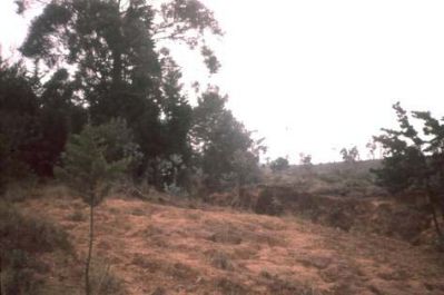 Erosión laminar, cerro Pan de Azúcar
CEHAP, 1996
Palabras clave: PAN DE Azucar
