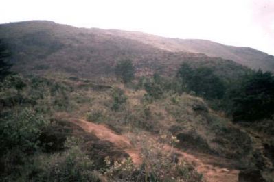 Erosión laminar, cerro Pan de Azúcar
CEHAP, 1996
Palabras clave: PAN DE Azucar