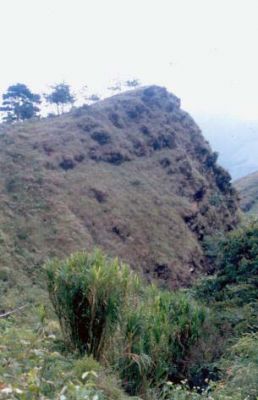 Cuencas naturales, cerro Pan de Azúcar
CEHAP, 1996
Palabras clave: PAN DE Azucar
