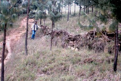 Senderos formados por erosión laminar, cerro Pan de Azúcar
CEHAP, 1996
Palabras clave: PAN DE Azucar