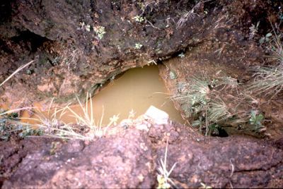 Depósitos coluviales, cerro Pan de Azúcar
CEHAP, 1996
Palabras clave: PAN DE Azucar