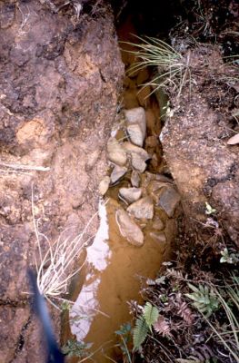 Infiltraciones de agua que se abren paso entre las discontinuidades rocosas, cerro Pan de Azúcar 
CEHAP, 1996
Palabras clave: PAN DE Azucar MEDELLIN