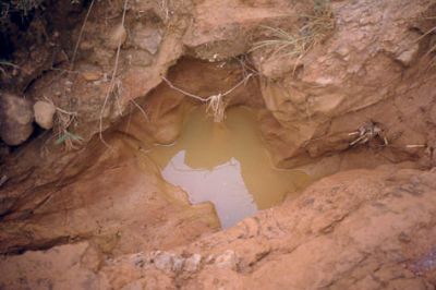 Infiltraciones de agua que se abren paso entre las discontinuidades rocosas, cerro Pan de Azúcar 
CEHAP, 1996
Palabras clave: PAN DE Azucar MEDELLIN