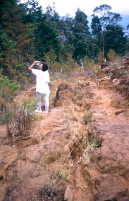 Carcavamientos que se presentan a partir de los senderos peatonales, cerro Pan de Azúcar
CEHAP, 1996
Palabras clave: PAN DE Azucar MEDELLIN