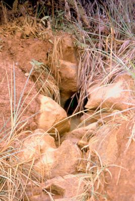 Terreno especialmente inestable debido a la infiltración de agua, cerro Pan de Azúcar
CEHAP, 1996
Palabras clave: PAN DE Azucar MEDELLIN